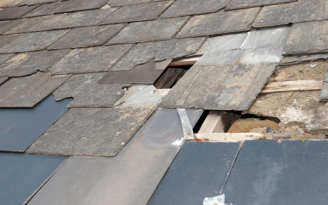 Top Summer Roof Problems Every Texarkana Homeowner Should Know