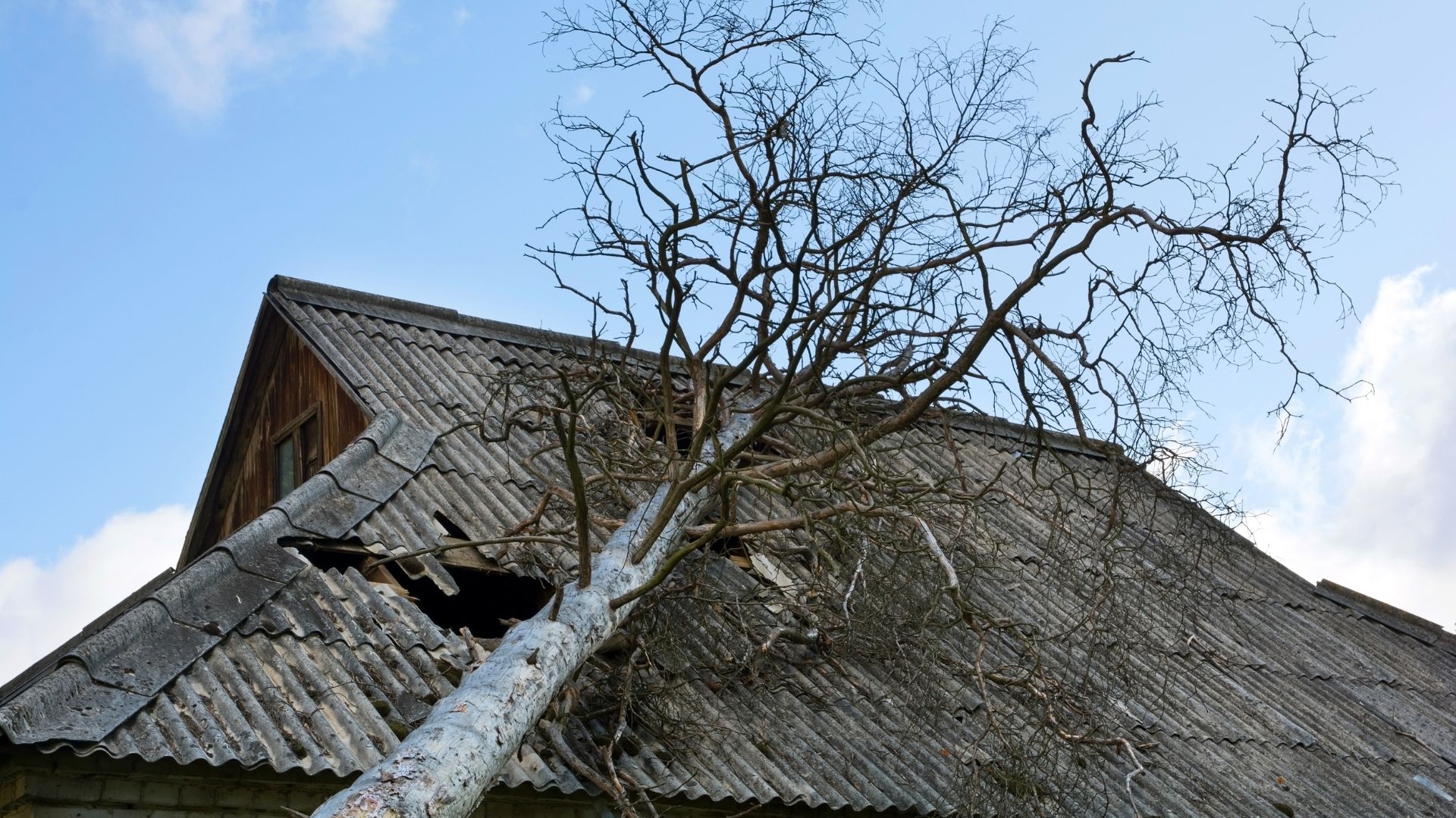 Roof Damage Insurance Claims in Nashville, Arkansas Roof Damage Insurance Claims in Nashville, Arkansas